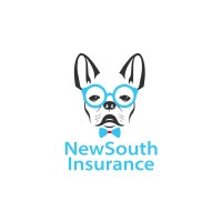 New South Insurance Group logo, New South Insurance Group contact details