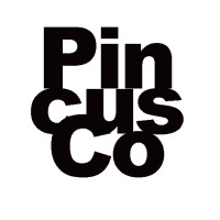 PincusCo Media LLC logo, PincusCo Media LLC contact details