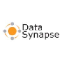 DataSynapse logo, DataSynapse contact details