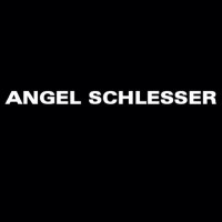 Angel Schlesser SL logo, Angel Schlesser SL contact details