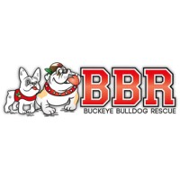 BUCKEYE BULLDOG RESCUE logo, BUCKEYE BULLDOG RESCUE contact details