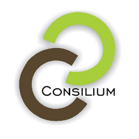 Consilium Brasil logo, Consilium Brasil contact details