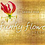 Funky Flowers logo, Funky Flowers contact details