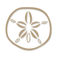 Sand Dollar Dubai Beachwear Boutique logo, Sand Dollar Dubai Beachwear Boutique contact details