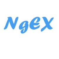 NGEX - Marketing and Data services for the African Diaspora and Africa logo, NGEX - Marketing and Data services for the African Diaspora and Africa contact details