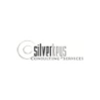 Silverkeys Consulting Services logo, Silverkeys Consulting Services contact details