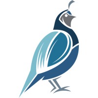 Featherston Strategies logo, Featherston Strategies contact details