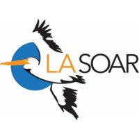 LASOAR logo, LASOAR contact details