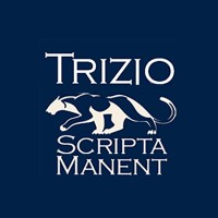 Trizio Consulting logo, Trizio Consulting contact details