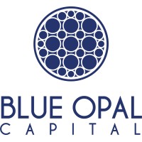 Blue Opal Capital logo, Blue Opal Capital contact details