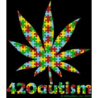 420autism, Inc (non-profit) logo, 420autism, Inc (non-profit) contact details