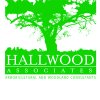 Hallwood Associates logo, Hallwood Associates contact details