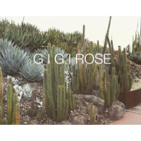 GIGI Rose Music logo, GIGI Rose Music contact details