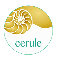 Cerule logo, Cerule contact details