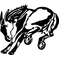 Muleshoe High School logo, Muleshoe High School contact details