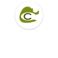 Caiman Communication logo, Caiman Communication contact details