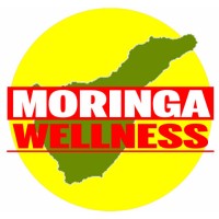 Moringa Wellness logo, Moringa Wellness contact details