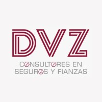 DVZ Consultores logo, DVZ Consultores contact details