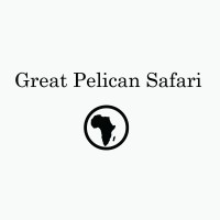 Great Pelican Safari logo, Great Pelican Safari contact details