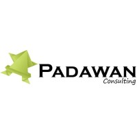 Padawan Consulting logo, Padawan Consulting contact details