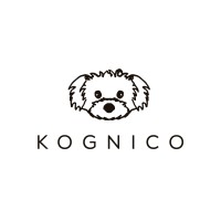 Kognico logo, Kognico contact details