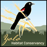 Yolo Habitat Conservancy logo, Yolo Habitat Conservancy contact details