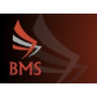 British Military Security logo, British Military Security contact details