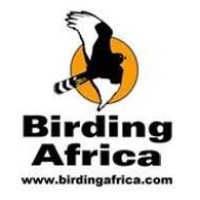 Birding Africa Tours and Cape Town Pelagics logo, Birding Africa Tours and Cape Town Pelagics contact details