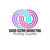 David Scerri Marketing logo, David Scerri Marketing contact details