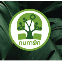 Numen Agencia Creativa de Inbound Marketing logo, Numen Agencia Creativa de Inbound Marketing contact details