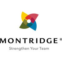 Montridge Advisory Group Ltd logo, Montridge Advisory Group Ltd contact details