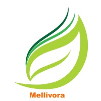 Mellivora Finance LLC logo, Mellivora Finance LLC contact details