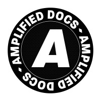 AMPLIFIED DOCS logo, AMPLIFIED DOCS contact details