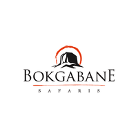 Bokgabane Safaris logo, Bokgabane Safaris contact details