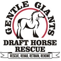 Gentle Giants Draft Horse Rescue logo, Gentle Giants Draft Horse Rescue contact details