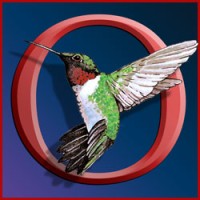 Hummingbird Hollow Wildlife Control logo, Hummingbird Hollow Wildlife Control contact details