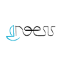 Consultora Noesis logo, Consultora Noesis contact details