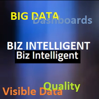 Biz Intelligent logo, Biz Intelligent contact details