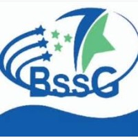 BSSG TRADING INDIA logo, BSSG TRADING INDIA contact details