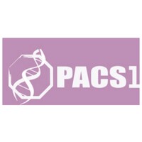 PACS1 Syndrome Research Foundation logo, PACS1 Syndrome Research Foundation contact details