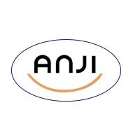 ANJI ENGINEERING SOLUTIONS PRIVATE LIMITED logo, ANJI ENGINEERING SOLUTIONS PRIVATE LIMITED contact details