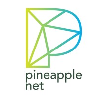 Pineapple Net logo, Pineapple Net contact details