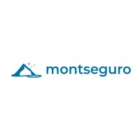 MontSeguro Corretora logo, MontSeguro Corretora contact details