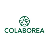 COLABOREA logo, COLABOREA contact details