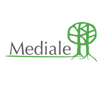 Mediale Chile logo, Mediale Chile contact details