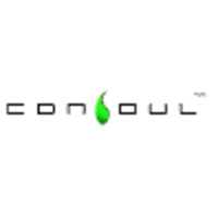 Consoul Interactive logo, Consoul Interactive contact details