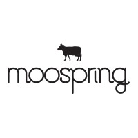 Moospring logo, Moospring contact details