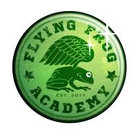 Flying Frog Academy logo, Flying Frog Academy contact details