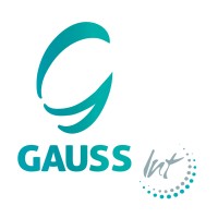 Gauss International Consulting logo, Gauss International Consulting contact details