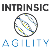 Intrinsic Agility logo, Intrinsic Agility contact details